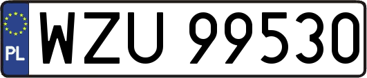 WZU99530