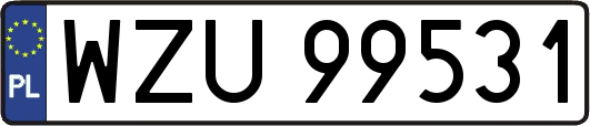 WZU99531