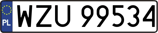 WZU99534