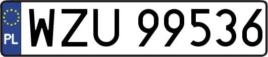 WZU99536