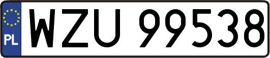 WZU99538