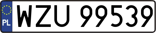 WZU99539
