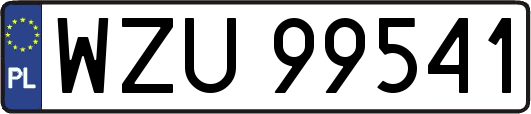 WZU99541