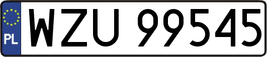WZU99545