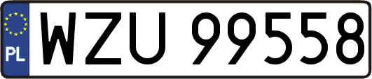 WZU99558
