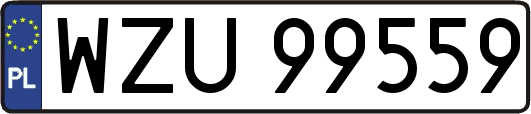 WZU99559