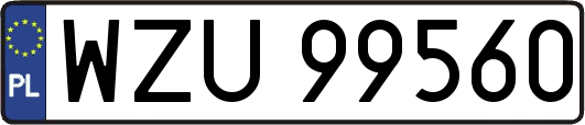 WZU99560