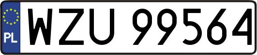 WZU99564