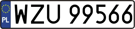 WZU99566
