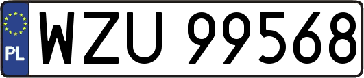 WZU99568
