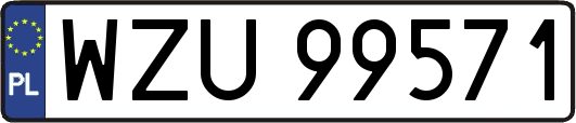 WZU99571