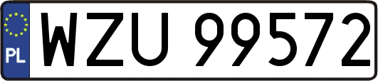 WZU99572