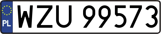 WZU99573
