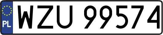 WZU99574