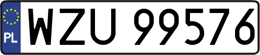 WZU99576