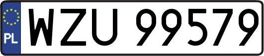 WZU99579