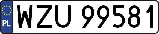 WZU99581