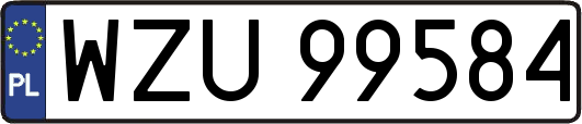 WZU99584