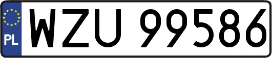 WZU99586