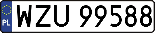 WZU99588
