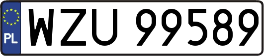 WZU99589