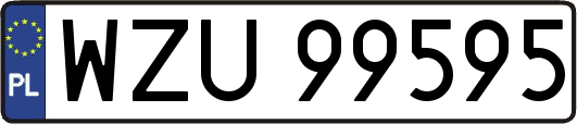WZU99595