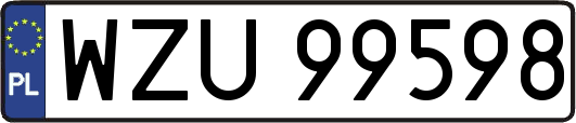 WZU99598
