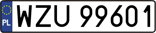 WZU99601