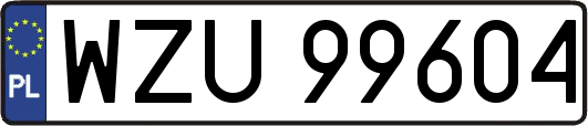 WZU99604