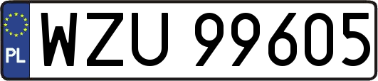 WZU99605
