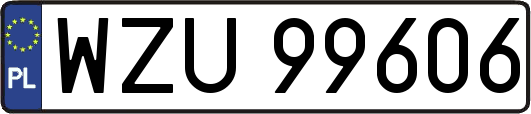 WZU99606