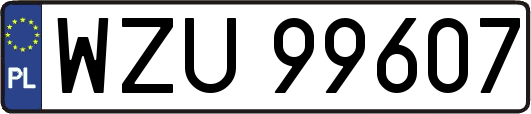 WZU99607