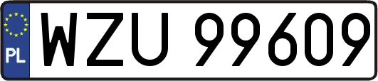 WZU99609