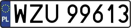 WZU99613