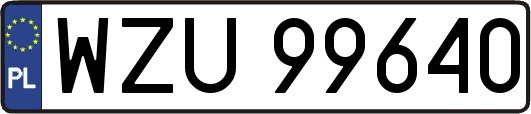 WZU99640