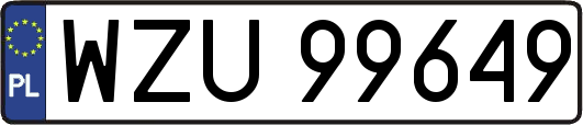 WZU99649