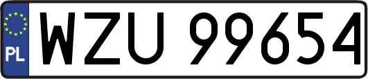 WZU99654