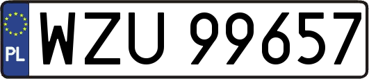 WZU99657