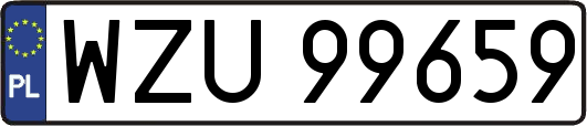 WZU99659