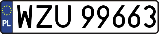 WZU99663