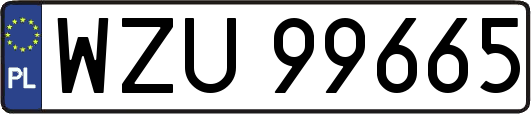 WZU99665