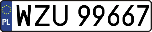 WZU99667