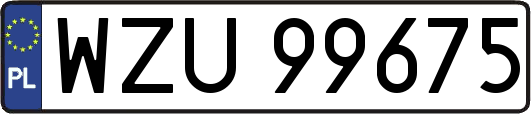 WZU99675