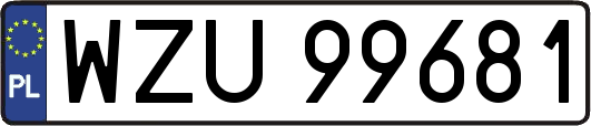 WZU99681