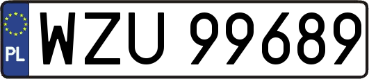 WZU99689