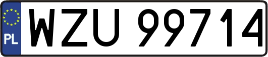 WZU99714