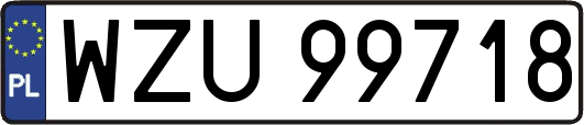 WZU99718