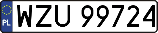 WZU99724