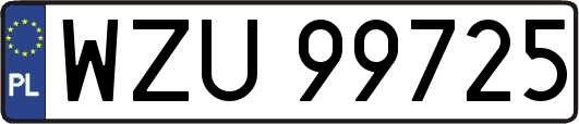 WZU99725