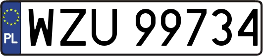 WZU99734